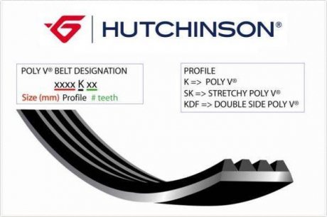Ремень генератора HUTCHINSON 2040 K 8 (фото 1)