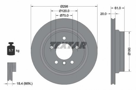 Гальмівний диск (задній) TEXTAR 92075103 (фото 1)