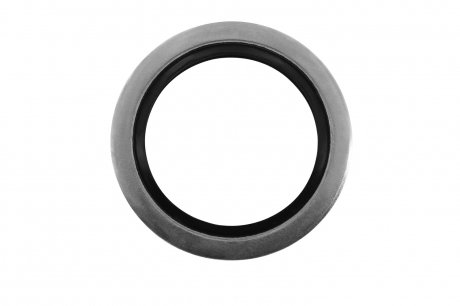 Уплотнительное кольцо VAICO V40-1109 (фото 1)