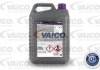Антифриз VAICO V60-0165 (фото 2)