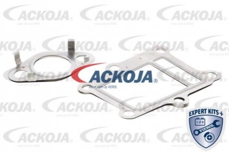 Комплект прокладок, AGR-система ACKOJA A52-63-9013 (фото 1)