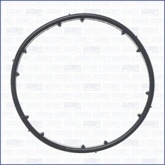 Прокладка термостата 01362100
