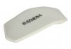 Воздушный фильтр ATHENA S410220200004 (фото 1)