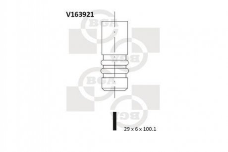 Выпускной клапан V163921
