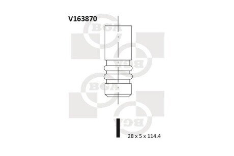 Впускной клапан V163870