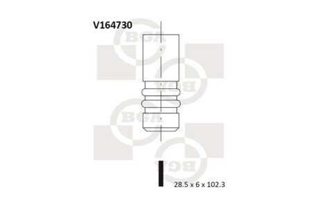 Впускной клапан V164730