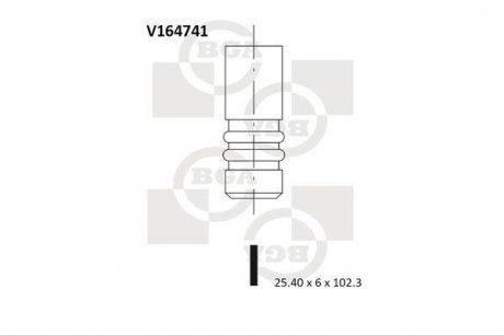 Выпускной клапан BGA V164741 (фото 1)