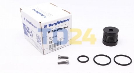 Масляный фильтр BorgWarner DS108190 (фото 1)