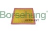 Air filter element Borsehung B12438 (фото 1)