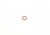 Уплотнительное кольцо форсунки BOSCH F00VP01008 (фото 2)