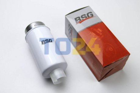 Топливный фильтр BSG 30-130-010