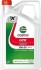 Моторна олива GTX RN17 FE 0W-20 5 л CASTROL 160A10 (фото 1)