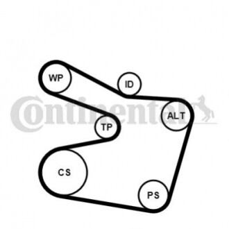 Комплект (ремень+ролики+насос) 6PK1538 WP2