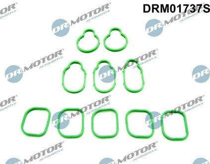 Комплект прокладок впускного колектора DRM01737S