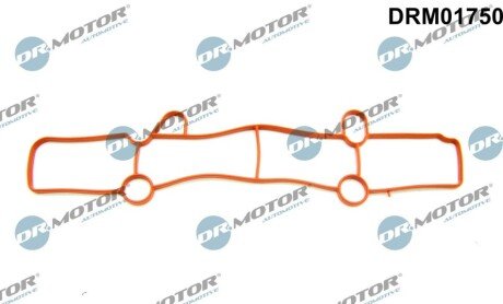 Прокладка впускного колектора DRM01750