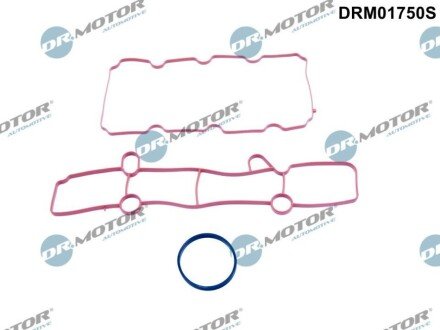 Комплект прокладок гумових DRM01750S