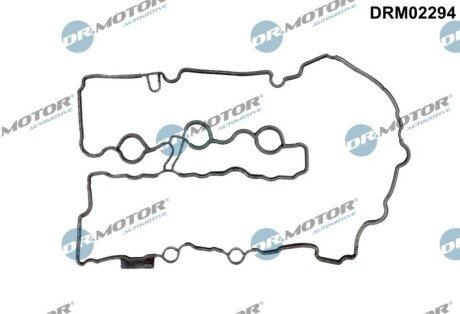 Прокладка клапанної кришки DRM02294