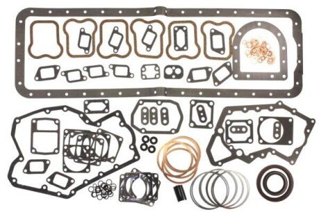 Компл. прокладок двигуна ENT000046