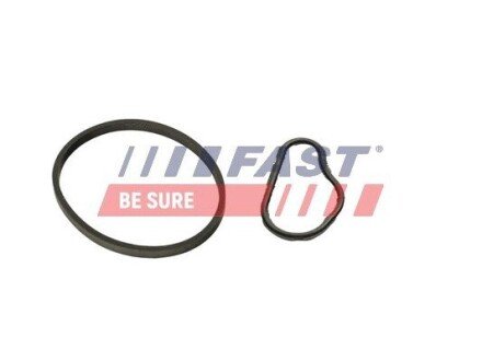 К-кт прокладок вакуум. насос (к-кт 2шт) CITROËN BERLINGO 1.6HDi 08- FORD TRANSIT CONNECT 1.5/1.6TDCi 13- PEUGEOT RIFTER 1.6HDi 18- FT48943