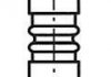 Клапан EX BMW 3/5 (F11) 525d/530d 11-/X5/X6 (E71,E72) 3.0d 15- FRECCIA R6621/RCR (фото 1)