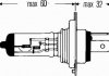 Ліхтар накалу, основная фара. Ліхтар накалу, основная фара HELLA 8GJ 002 525-251 (фото 2)