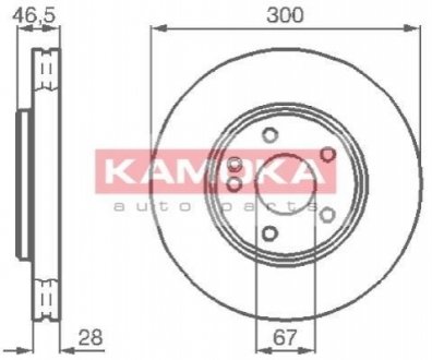 Гальмівний диск Kamoka 1032272 (фото 1)