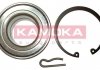 Набір підшипника маточини колеса Kamoka 5600038 (фото 1)