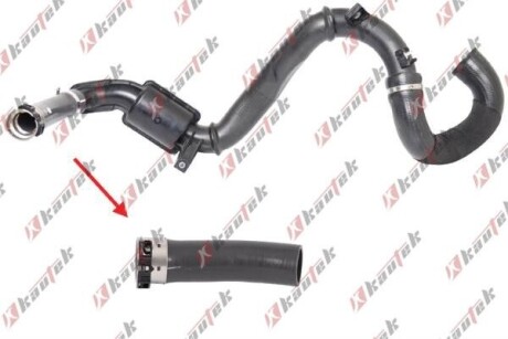 KAUTEK RENAULT маслопровід компресори Trafic 2.0dCI 06- RE-TH062