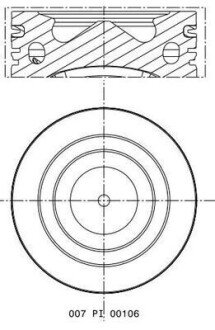 Поршень 007PI00106002