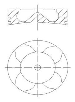 Поршень 007 PI 00163 000