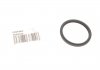 Уплотнительное кольцо MERCEDES-BENZ 0229978045 (фото 1)
