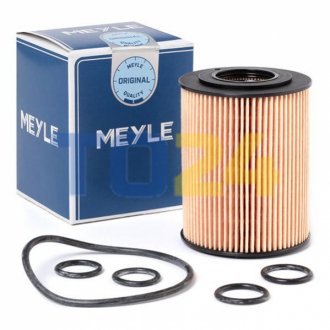 Масляный фильтр MEYLE 6143220012 (фото 1)