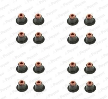 Сальник клапана (компл.) BMW N42/N46 (16PCS) (вир-во Payen) HR5086