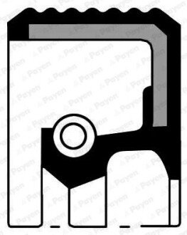 Уплотнительное кольцо, распределительный вал 28x47x8 ASW RD PTFE/ACM (пр-во Payen) NA5261