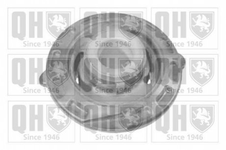 Підвіска, важіль незалежної підвіски колеса QUINTON HAZELL EMS8191 (фото 1)