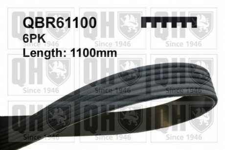 Ремiнь клиновий 6PK#1100 QBR61100