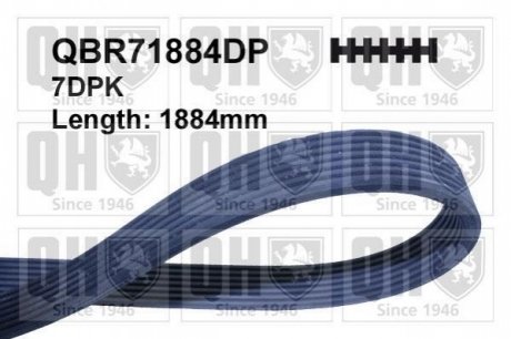 Поліклиновий ремінь QBR71884DP