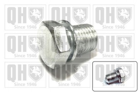 Болт зливу оливи VW Caddy III/T4/T5/T6/Crafter QOC1016