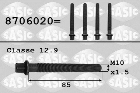 Болт кріплення шестерни коленчатого вала SASIC 8706020 (фото 1)