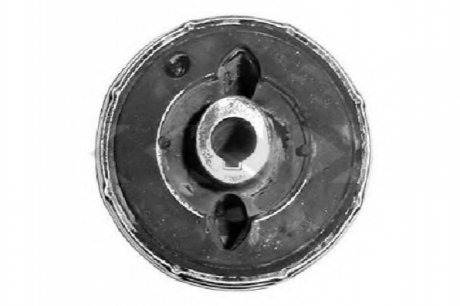 Підвіска, важіль незалежної підвіски колеса SPIDAN 410995 (фото 1)