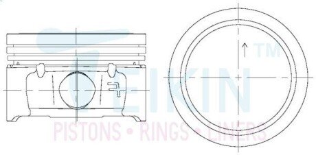 Поршень ДВЗ 0.5 (4шт.+пальці)) Peugeot/Citroen (TU5JP4) C3, C4, Partner/Berlingo 1.6 DOHC 16V (67106-050) TEIKIN