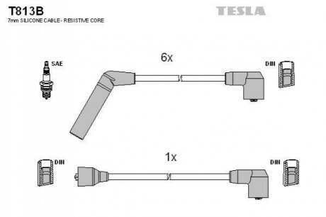 Комплект кабелiв запалювання TESLA T813B (фото 1)