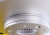 Гальмівний диск (передній) TEXTAR 92125503 (фото 3)