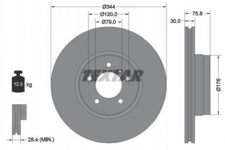 Гальмівний диск (передній) TEXTAR 92134400 (фото 1)