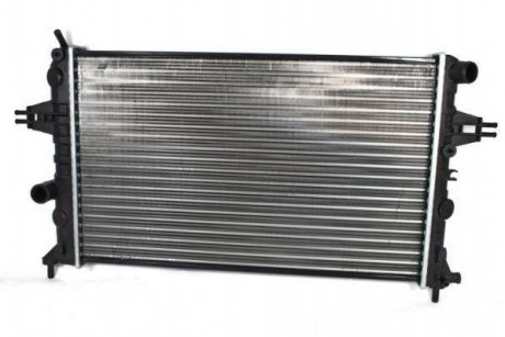 Радиатор охлаждения двигателя THERMOTEC D7X002TT (фото 1)