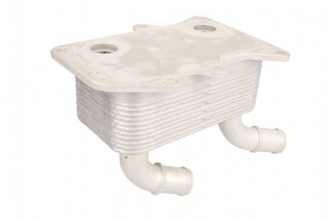 Масляный радиатор THERMOTEC D405002TT (фото 1)
