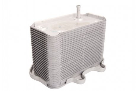 Масляный радиатор THERMOTEC D4N005TT (фото 1)