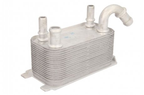 Масляный радиатор THERMOTEC D4V001TT (фото 1)