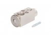 Клапан кондиціонера THERMOTEC KTT140070 (фото 1)