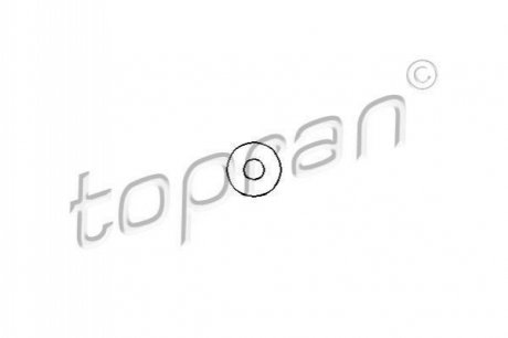 Ущільнююче кільце, клапанная форсунка TOPRAN / HANS PRIES 100656 (фото 1)